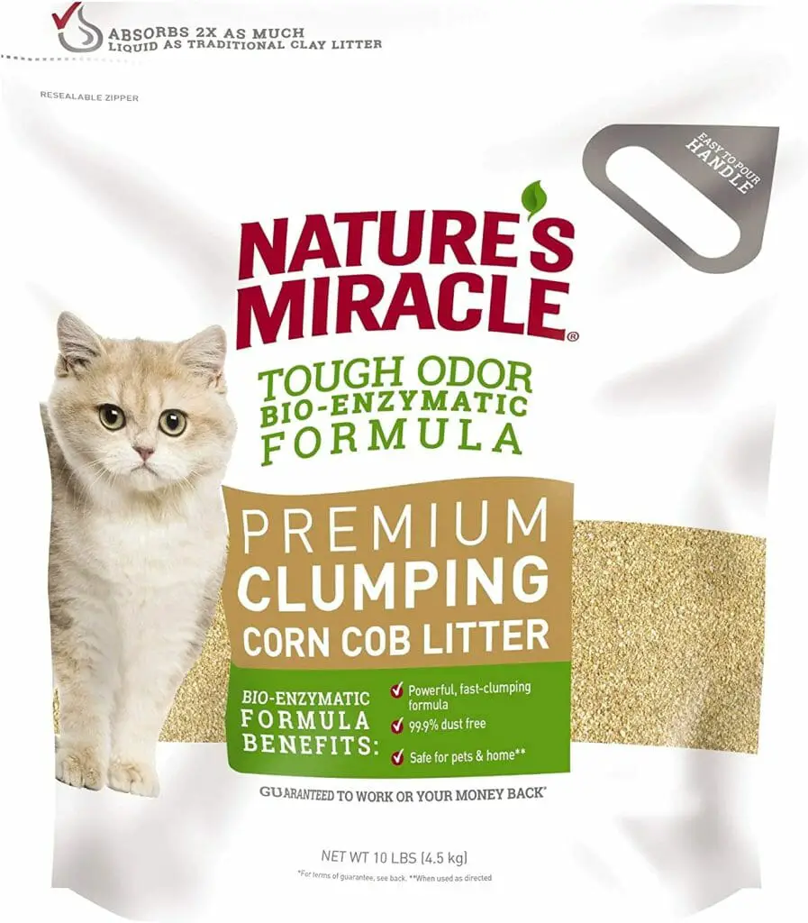 Is Cat Litter Biodegradable: Eco-Friendly Litter Types for Your Feline ...